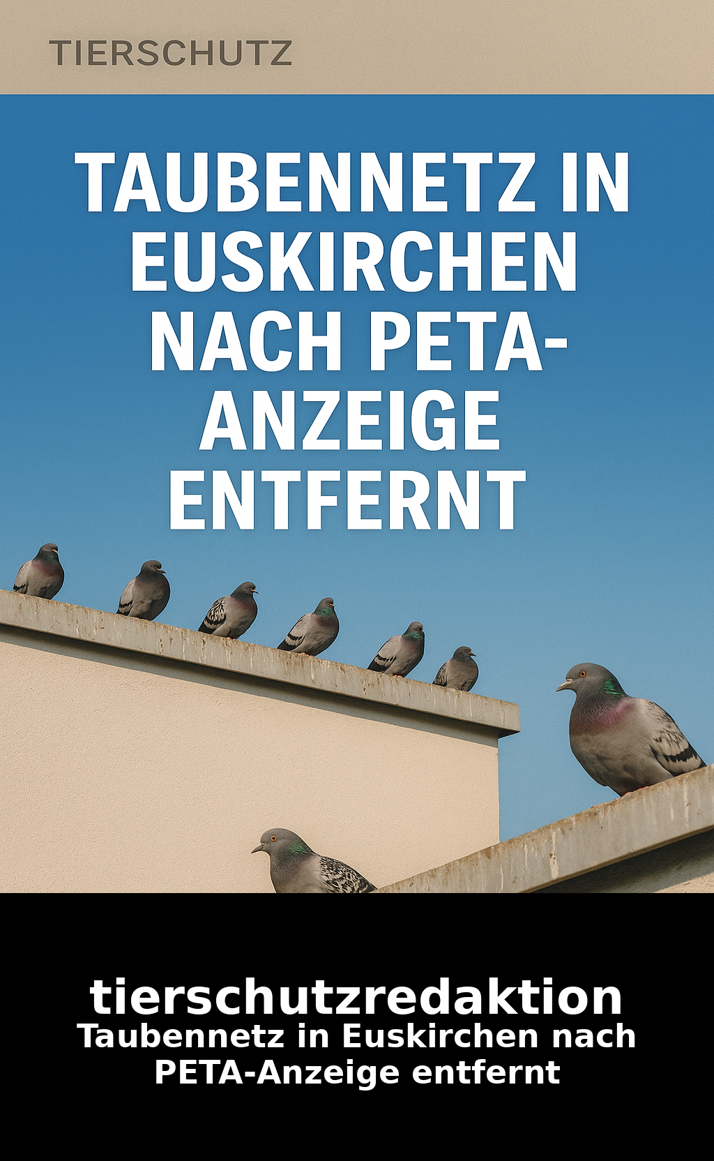 Taubennetz in Euskirchen nach PETA-Anzeige entfernt