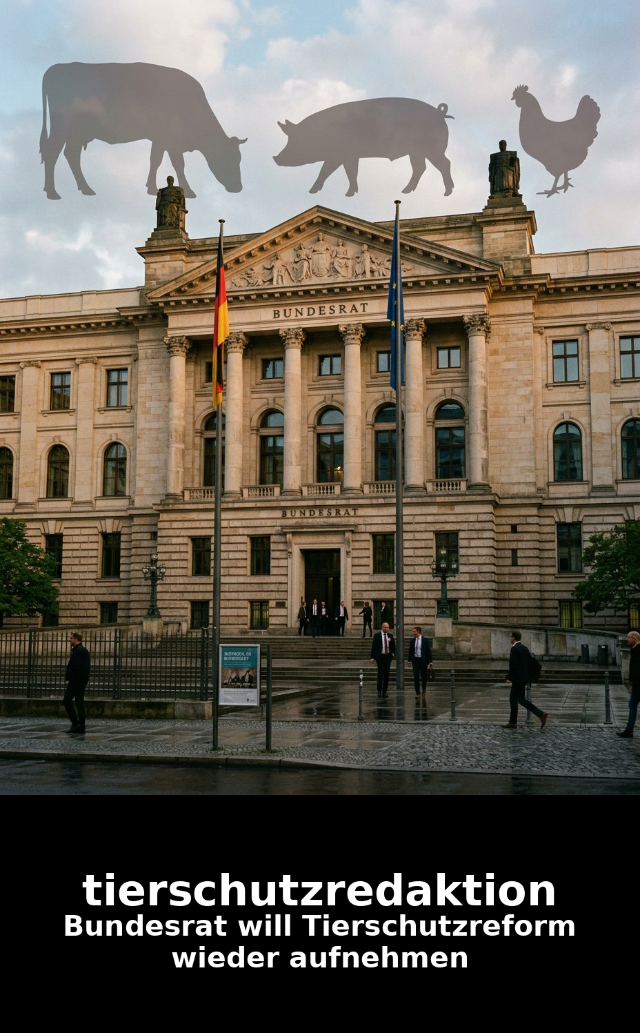 Bundesrat will Tierschutzreform wieder aufnehmen